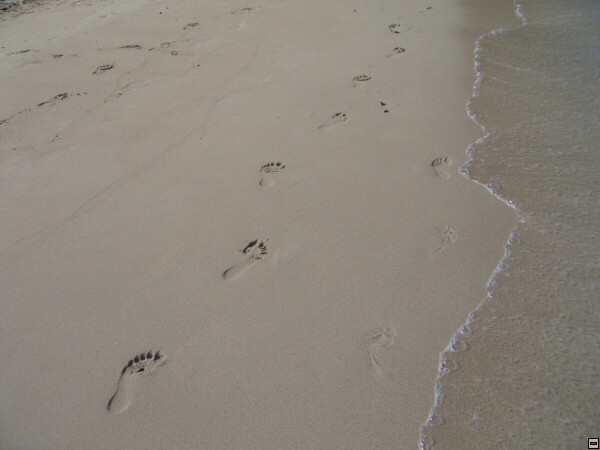 img00045.jpg