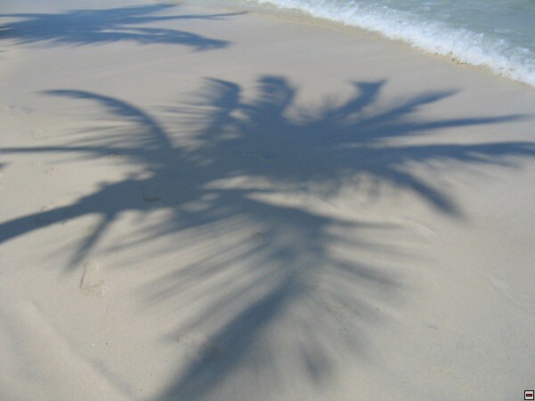 img00046.jpg