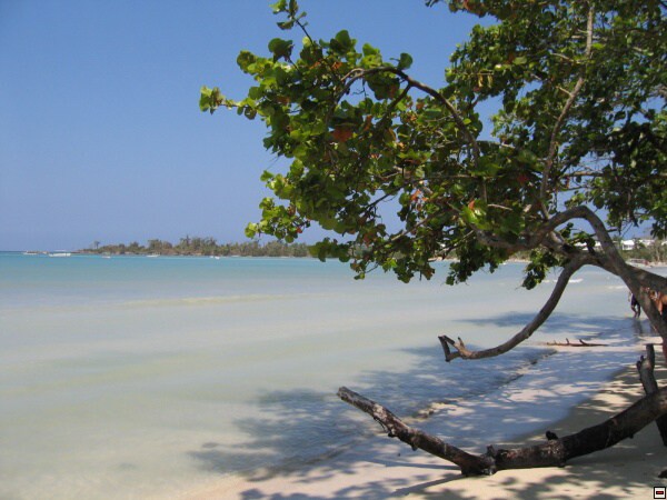 img00047.jpg