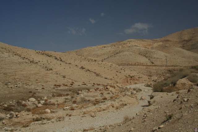 img00001.jpg