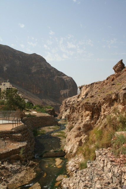 img00002.jpg