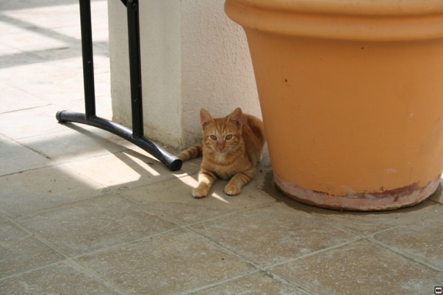 img00003.jpg