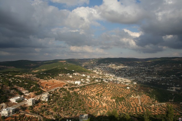 img00024.jpg