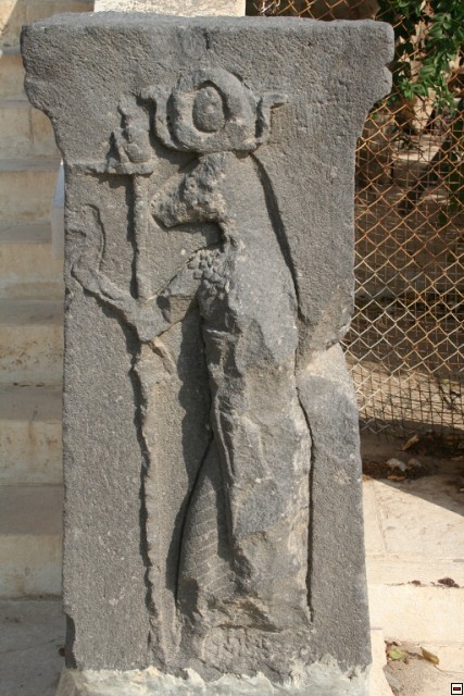 img00028.jpg