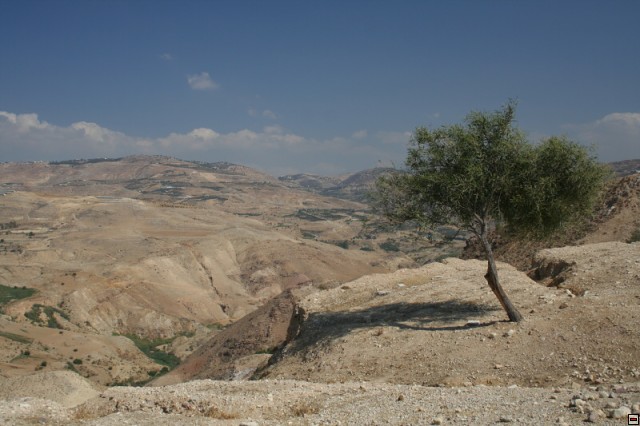 img00032.jpg