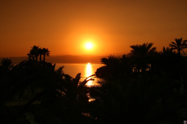 img00040.jpg