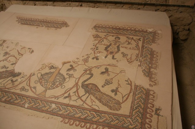 img00048.jpg