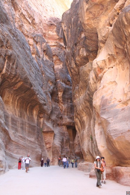 img00061.jpg