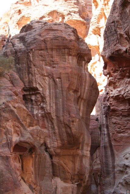 img00063.jpg