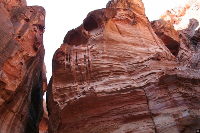 img00065.jpg