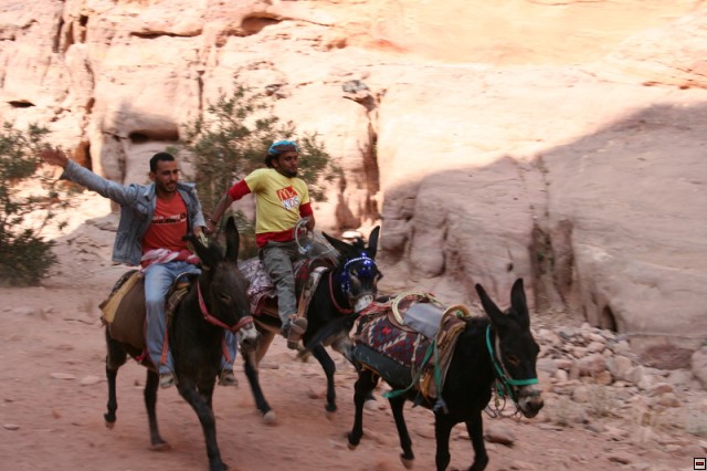 img00079.jpg