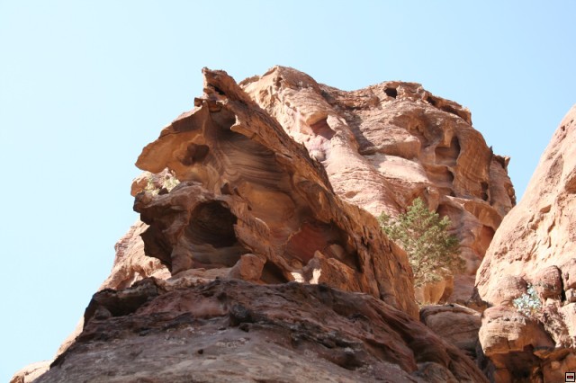 img00080.jpg