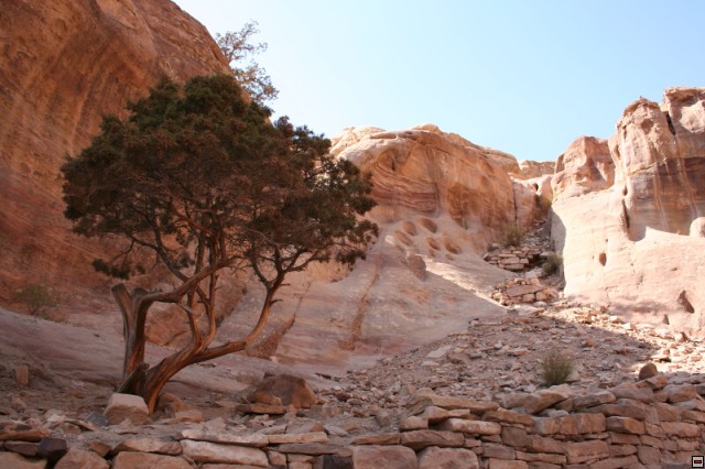 img00081.jpg