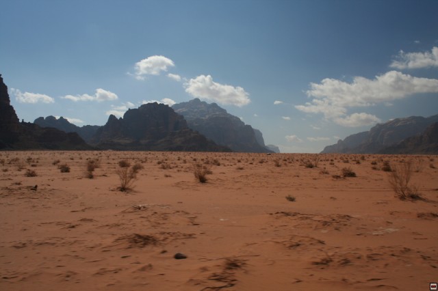 img00096.jpg
