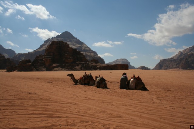 img00098.jpg