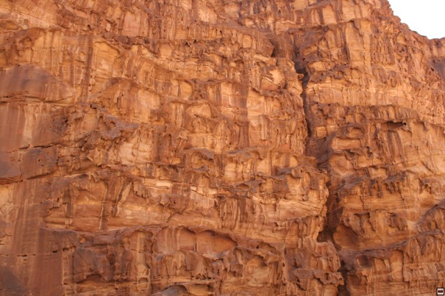 img00108.jpg