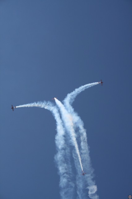 img00116.jpg