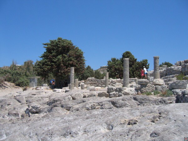 img00007.jpg