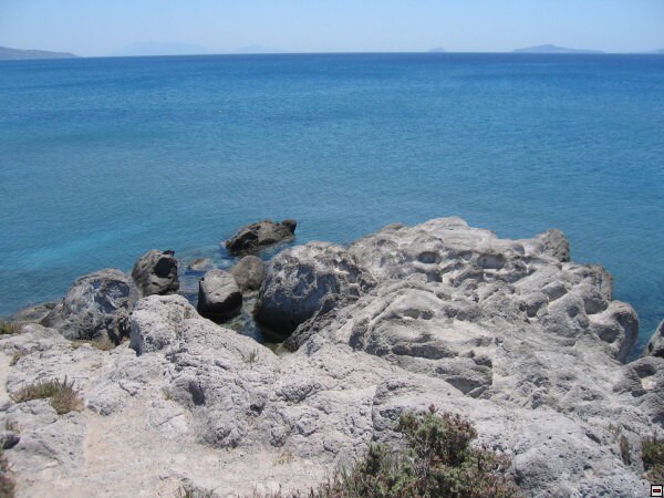 img00011.jpg