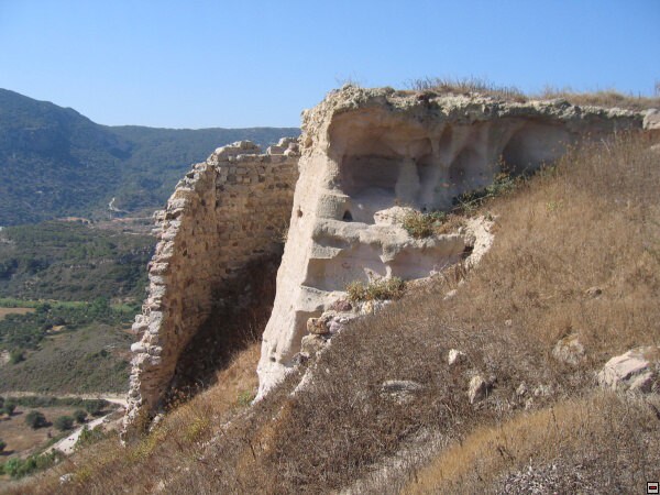img00021.jpg