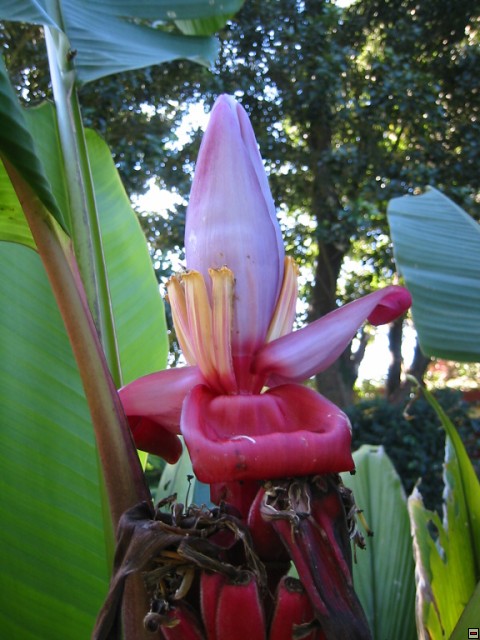 img00004.jpg
