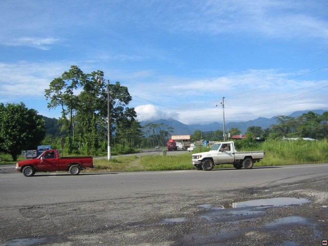 img00011.jpg