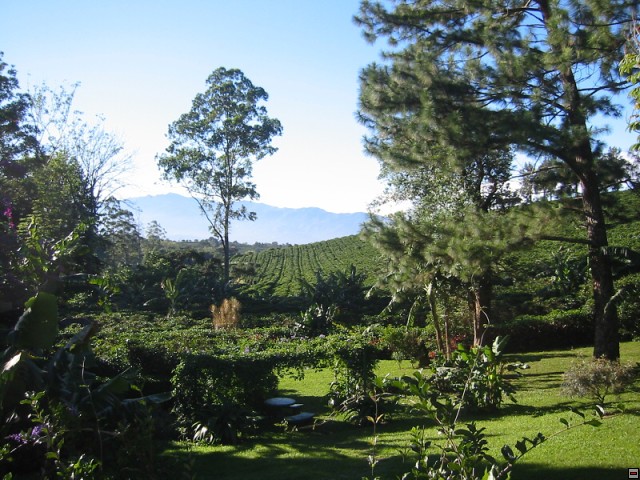 img00015.jpg