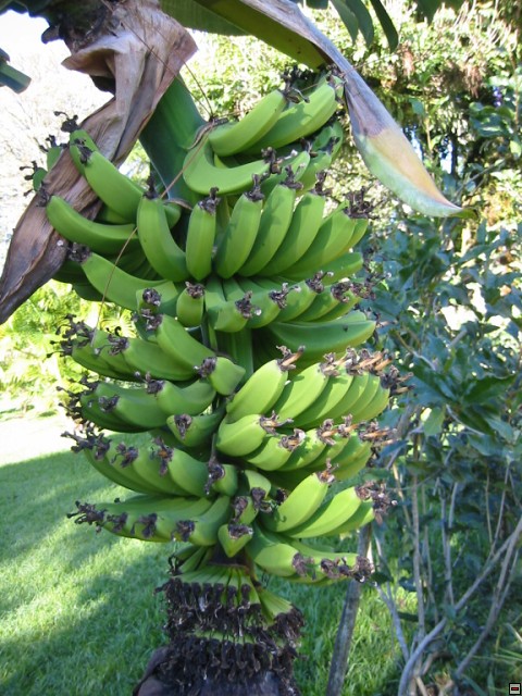 img00017.jpg