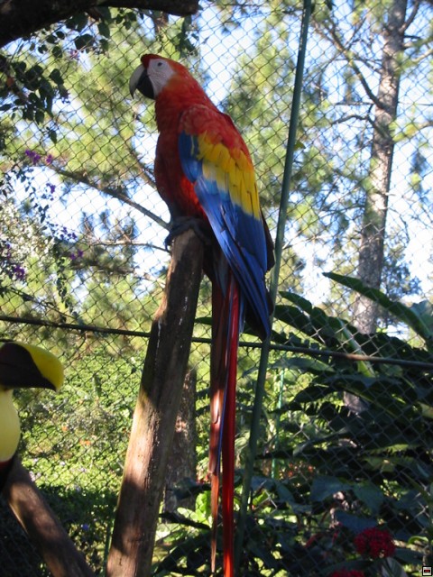 img00021.jpg
