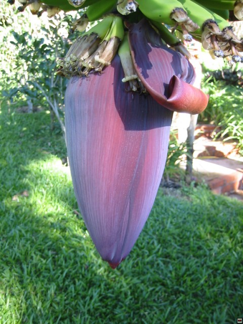 img00023.jpg