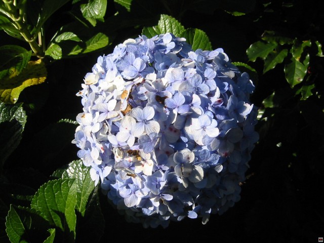 img00024.jpg