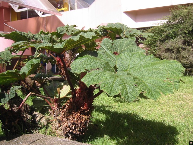 img00027.jpg