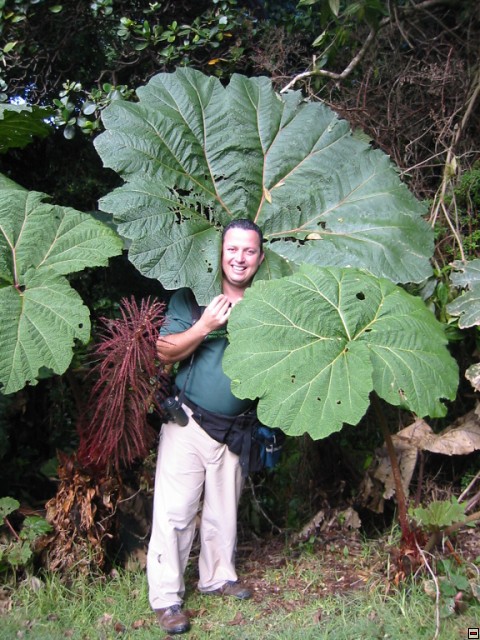 img00028.jpg