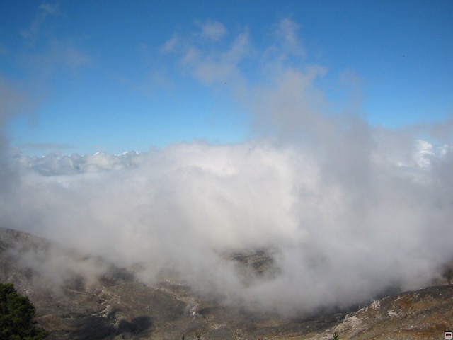 img00031.jpg