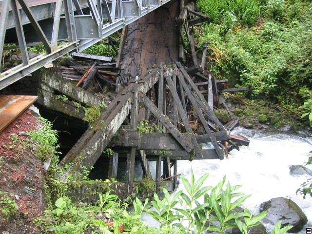 img00036.jpg