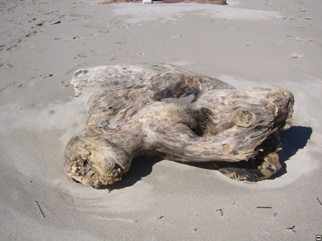 img00068.jpg