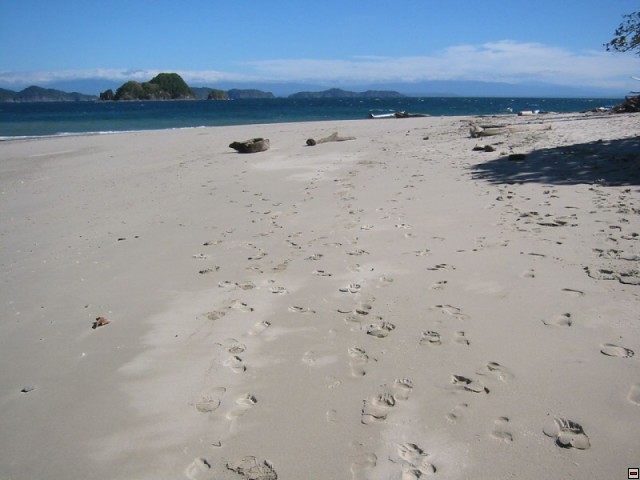 img00071.jpg