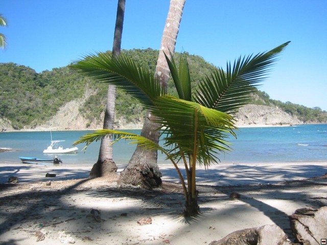 img00073.jpg