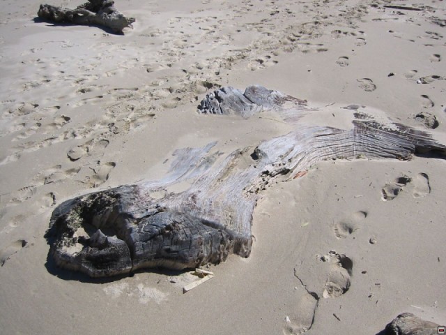 img00074.jpg