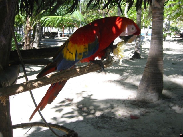 img00075.jpg