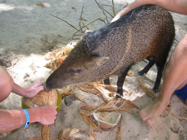 img00076.jpg