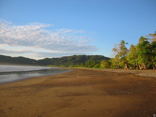 img00081.jpg