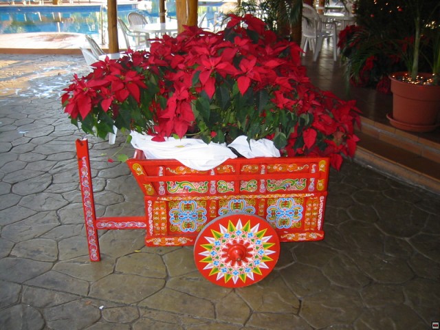 img00082.jpg
