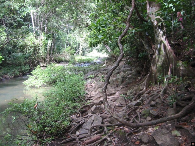 img00090.jpg