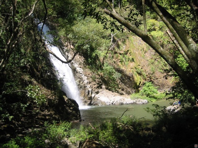 img00092.jpg