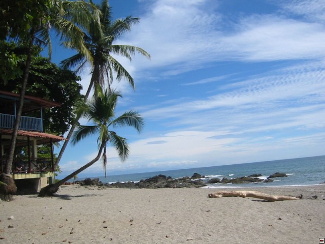img00098.jpg