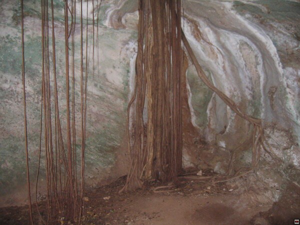 img00070.jpg