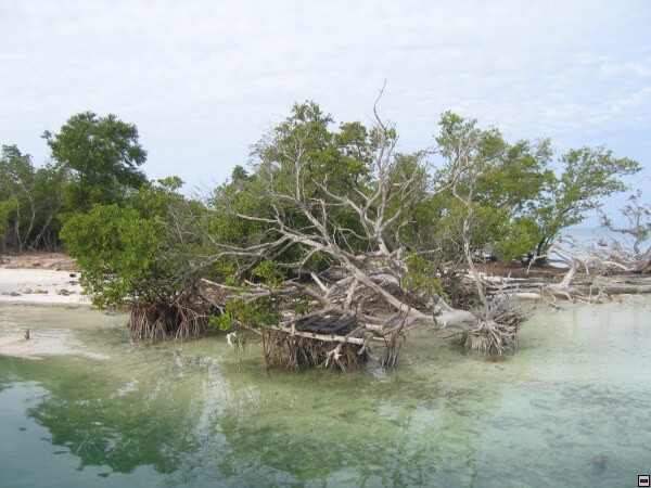 img00074.jpg