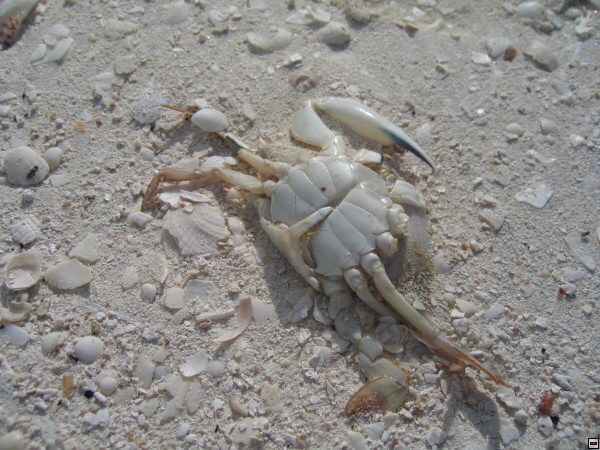 img00076.jpg