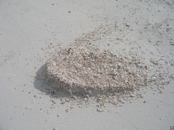 img00078.jpg